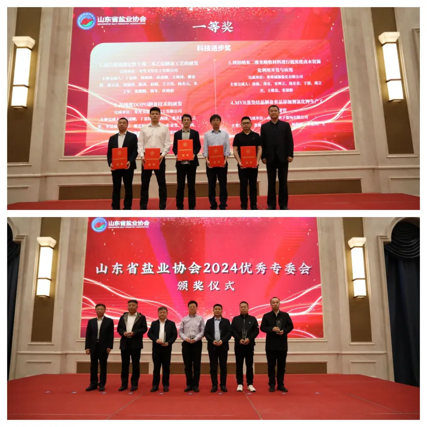 山东盐业2家直属企业的3个科研项目荣获山东盐业协会2024年度科学技术奖